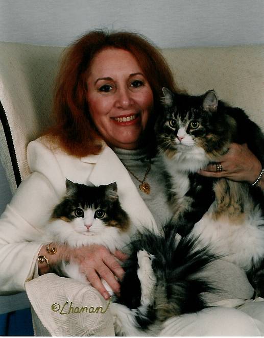 Kashi Saga About Us Norwegian Forest Cats Breeder New Jersey, USA